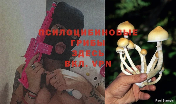 мяу мяу кристалл Яранск